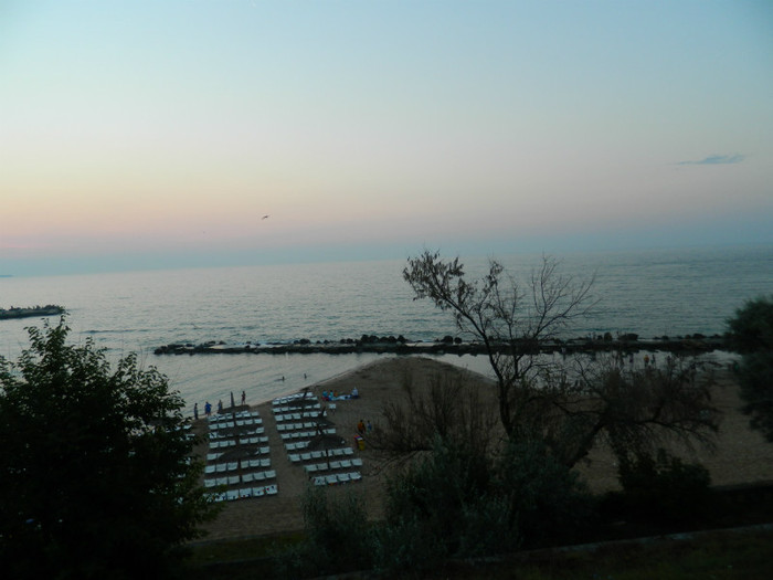 DSCN8770