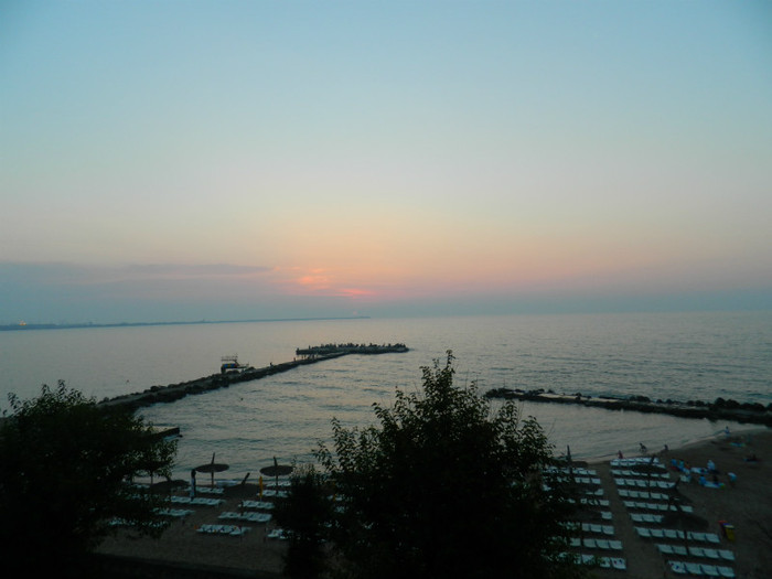 DSCN8781