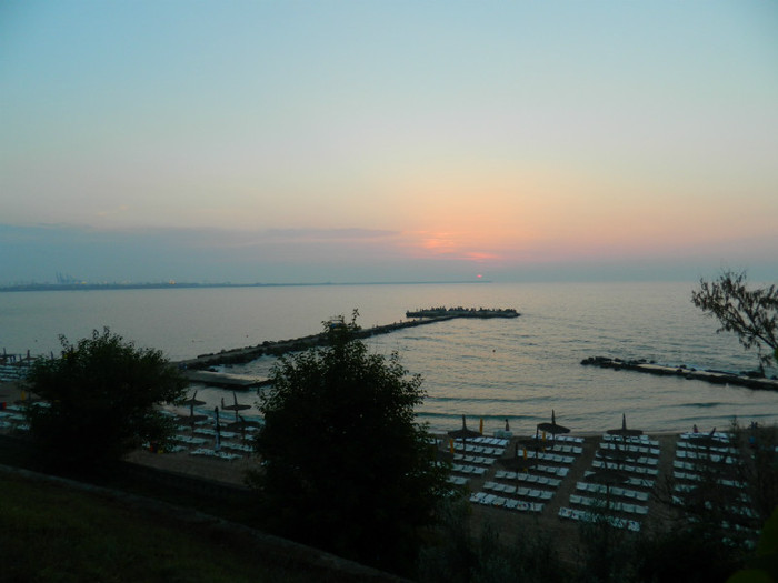 DSCN8783
