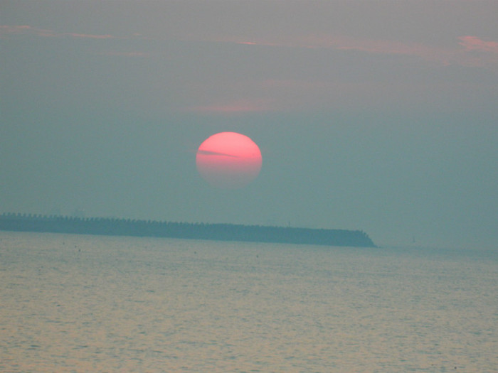 DSCN8786