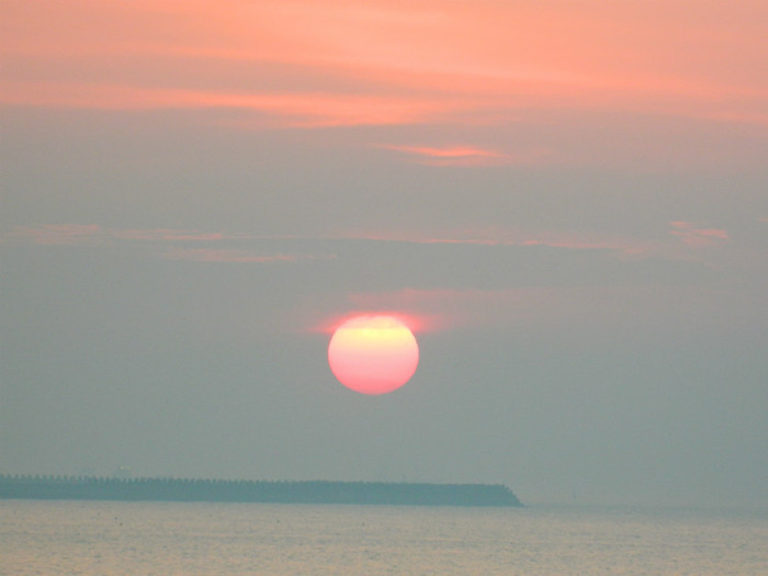 DSCN8792