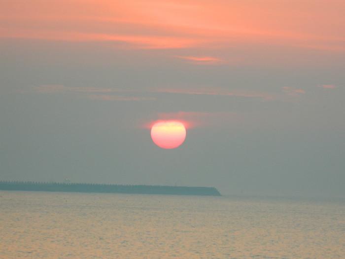 DSCN8793