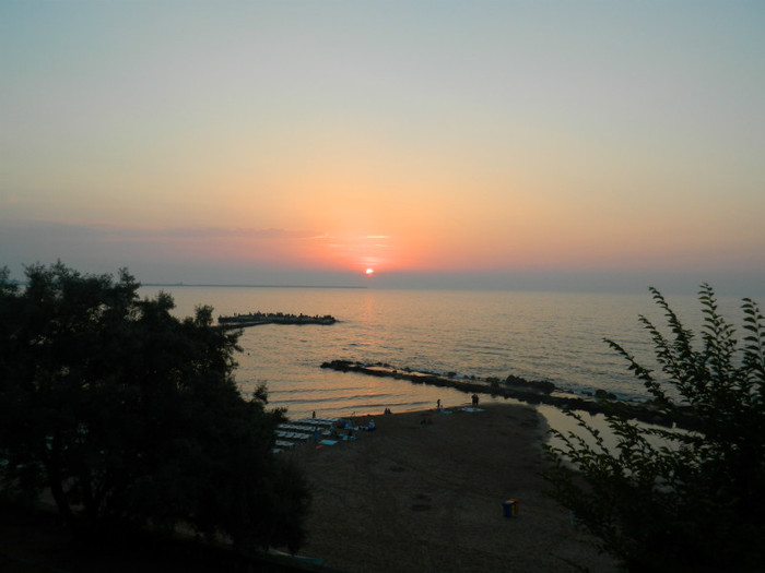 DSCN8807