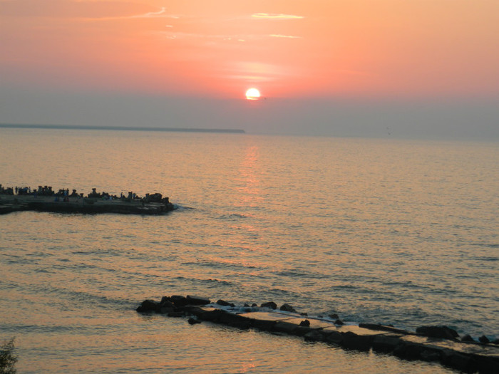 DSCN8809