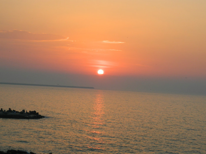 DSCN8811
