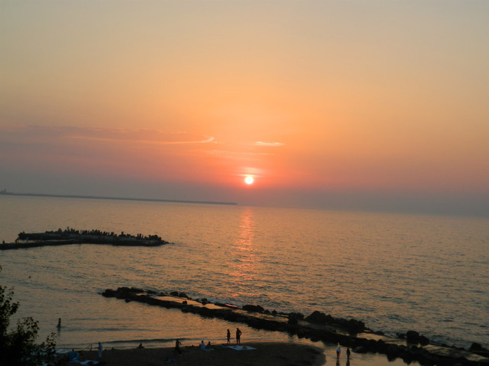 DSCN8817