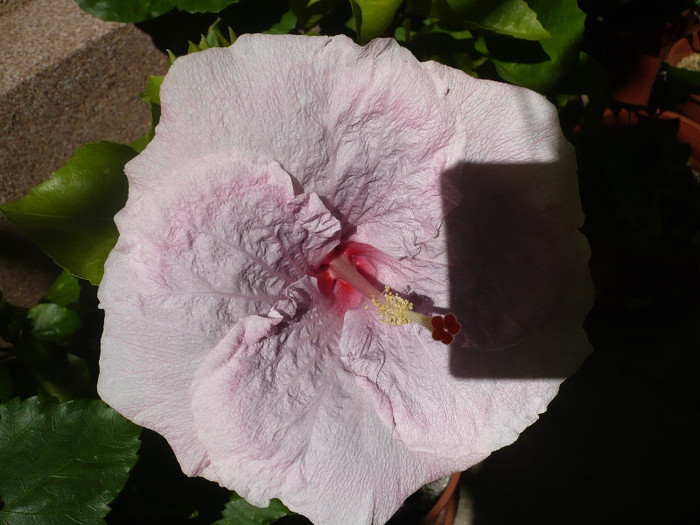 P1160447