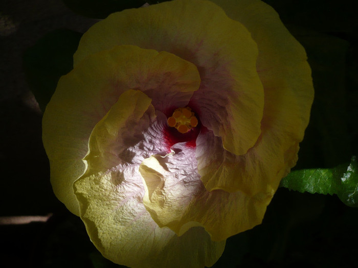 P1160453