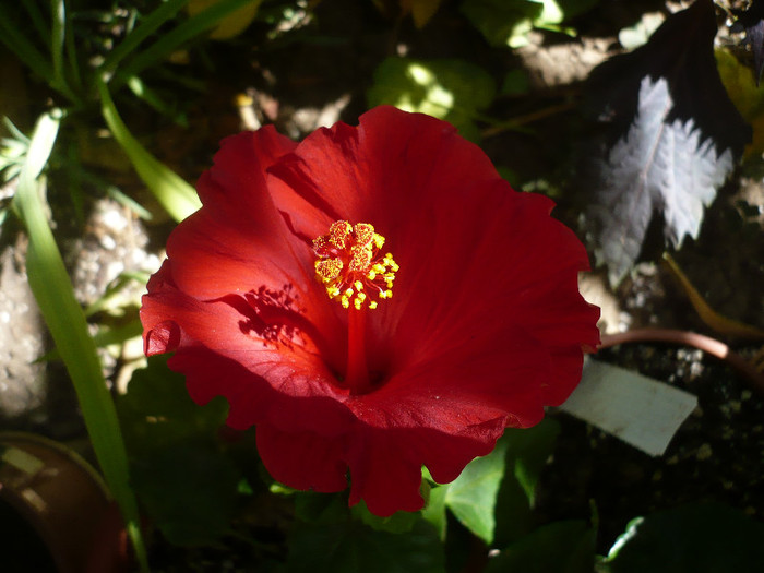 P1160462