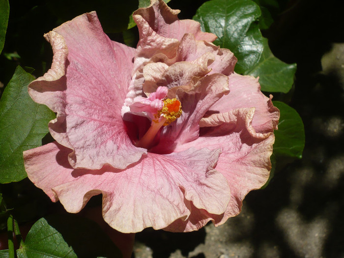 P1160463
