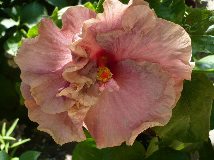 P1160468