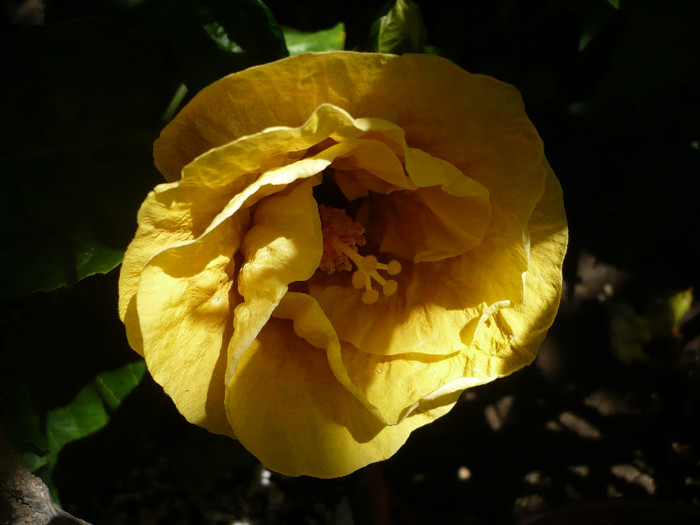 P1160551