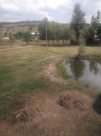 Foto1919 - 1-voiajori 2012