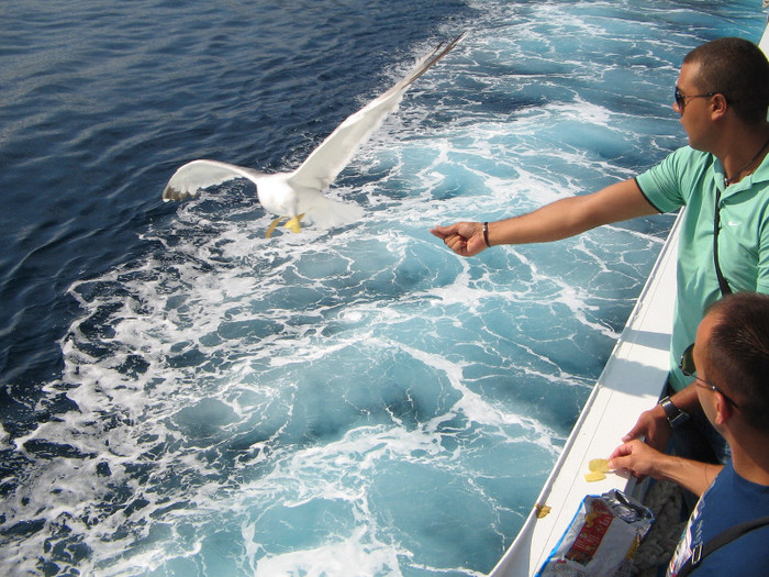 IMG_6390 - Thassos 2012