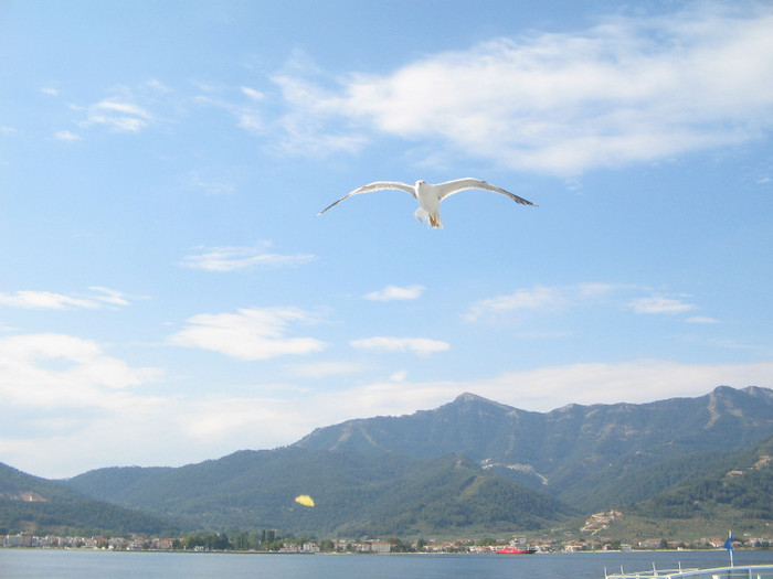 IMG_6392 - Thassos 2012