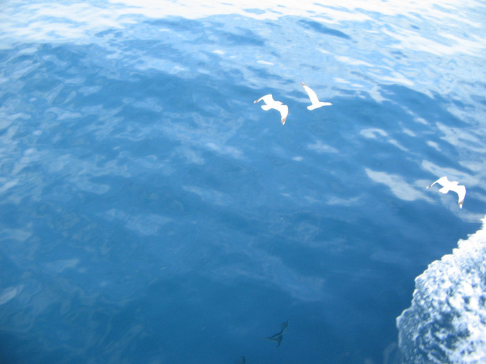 IMG_6402 - Thassos 2012