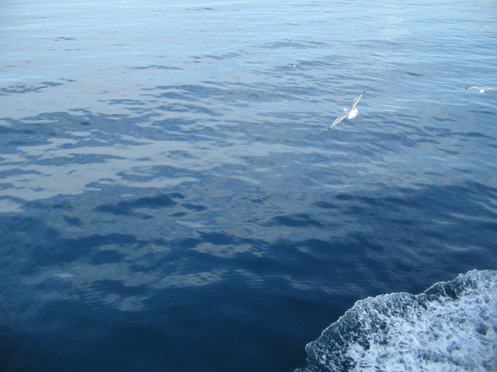 IMG_6404 - Thassos 2012