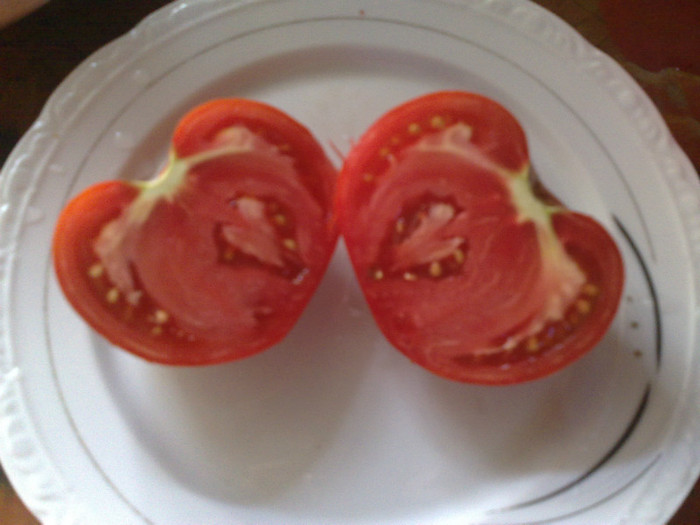 27072012 - Rosiile mele