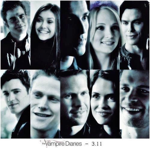 429049_261129157303843_100002202828564_588086_1261992849_n