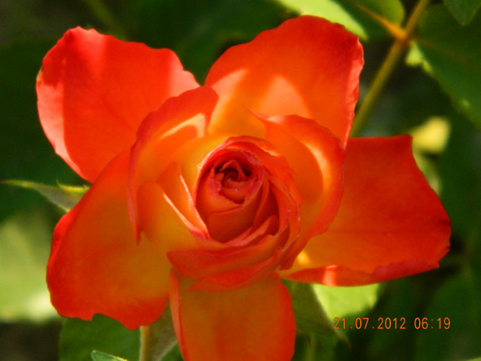 de la tine ! - MULTUMESC-TAISIA