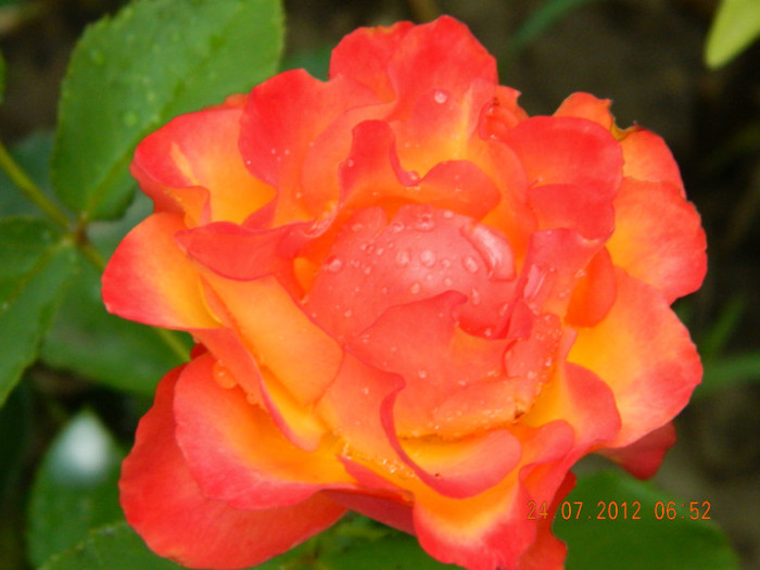 e frumos rau ! - MULTUMESC-TAISIA