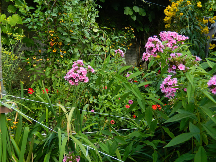 DSCN9813 - 30 31 IULIE 2012