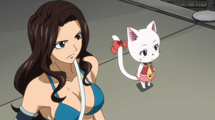 - Fairy Tail