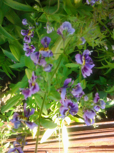 Photo0321