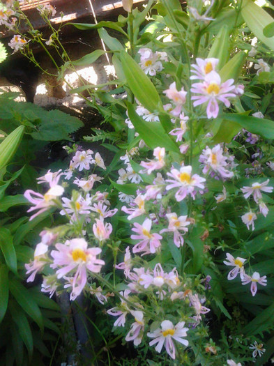 Photo0322