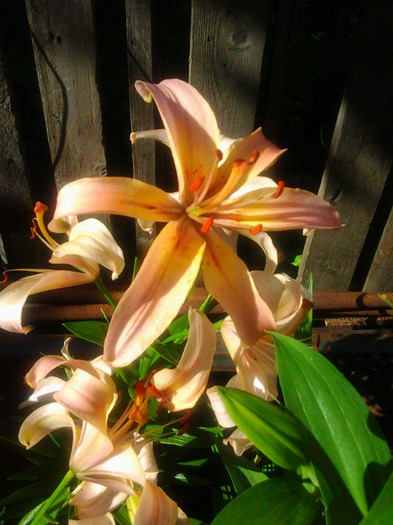 Photo0324