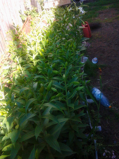 Photo0327