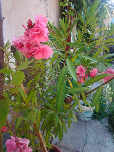 Photo0331