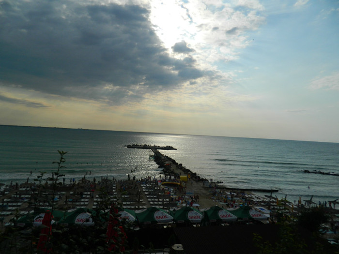 DSCN9002