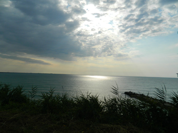 DSCN9017