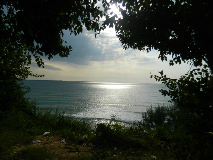 DSCN9019