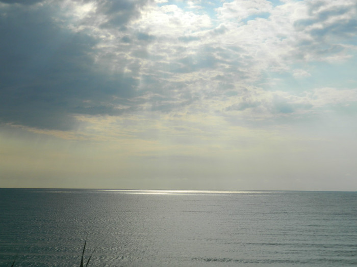 DSCN9021