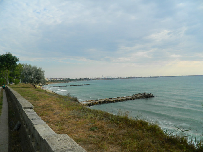 DSCN9022
