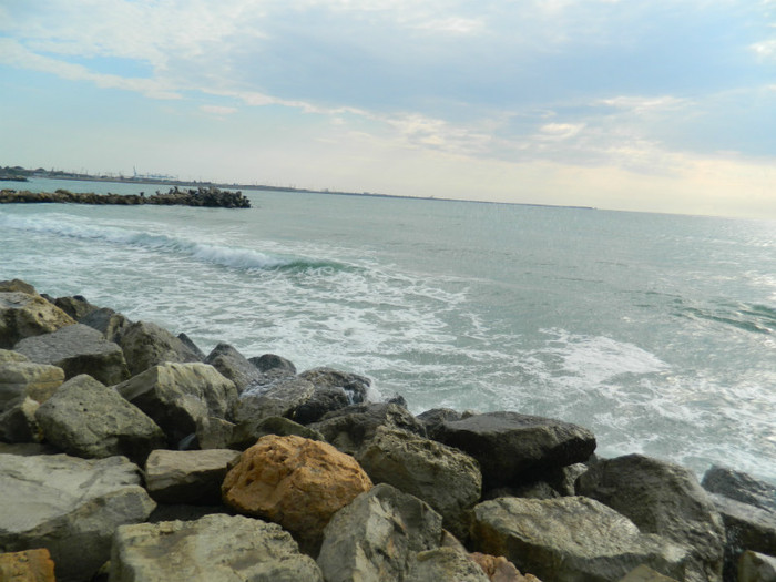 DSCN9026