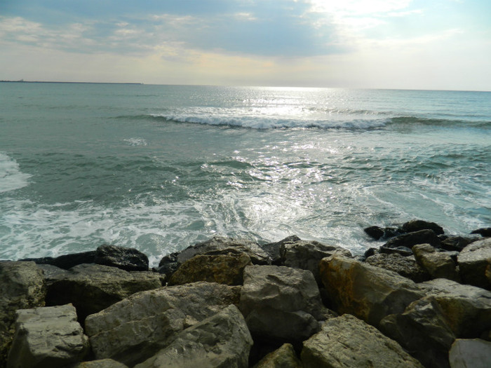 DSCN9031