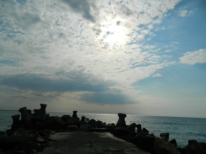DSCN9039