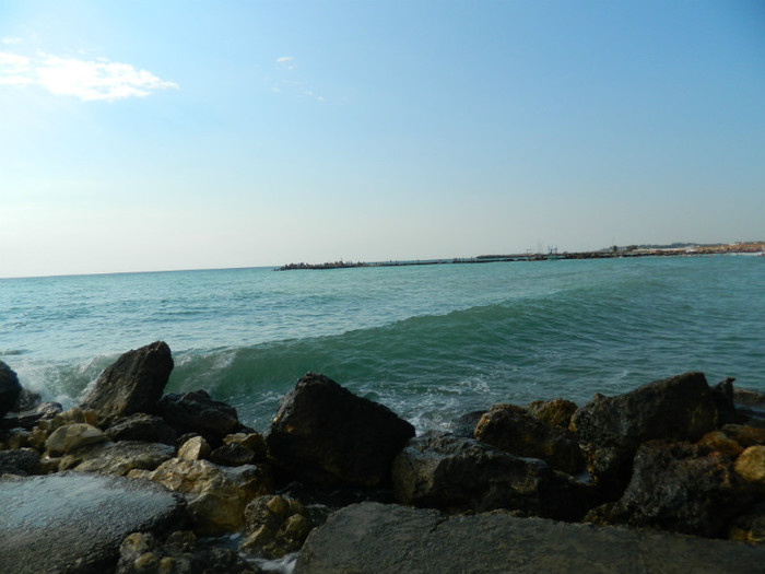 DSCN9044