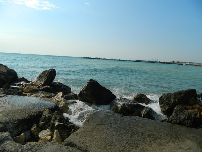 DSCN9045
