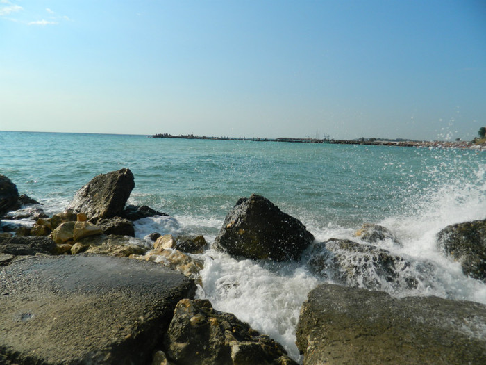DSCN9047