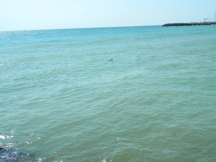 DSCN9077