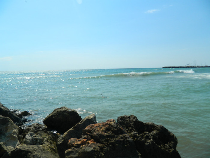 DSCN9087