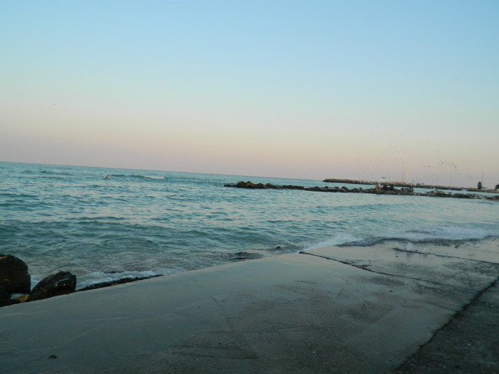 DSCN9184