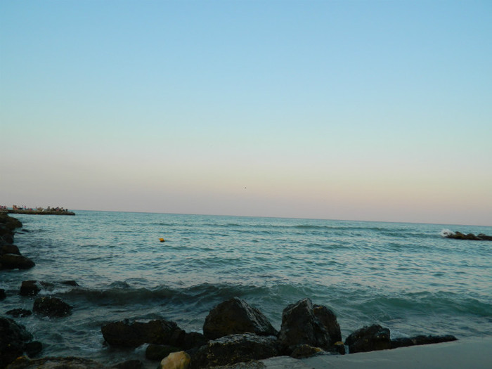 DSCN9186
