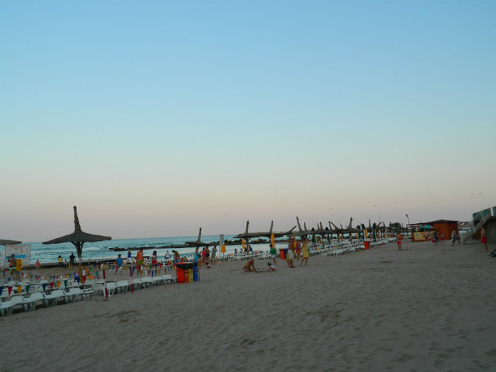 DSCN9190