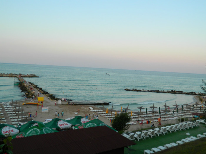 DSCN9195