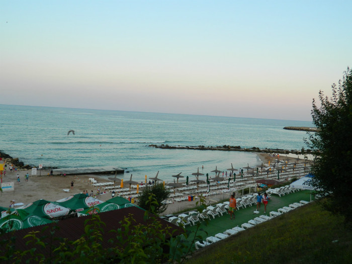 DSCN9197